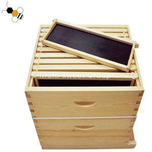 Wholesale Langstroth Beehive Kit Wholesale Bee Hive Apiculture Tools from china suppliers