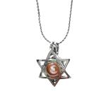 Cage Pendant Essential Oil Diffuser Locket For Oyster Pearl Girl Women Gits