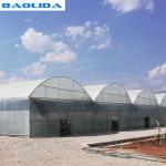 Steel Structure Polythene Grow Tunnel For Tomato And Cucumber