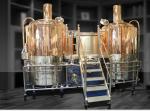 Beer Brewing Equipment Simple Operation/Mini Beer Machine/Provide Free Beer