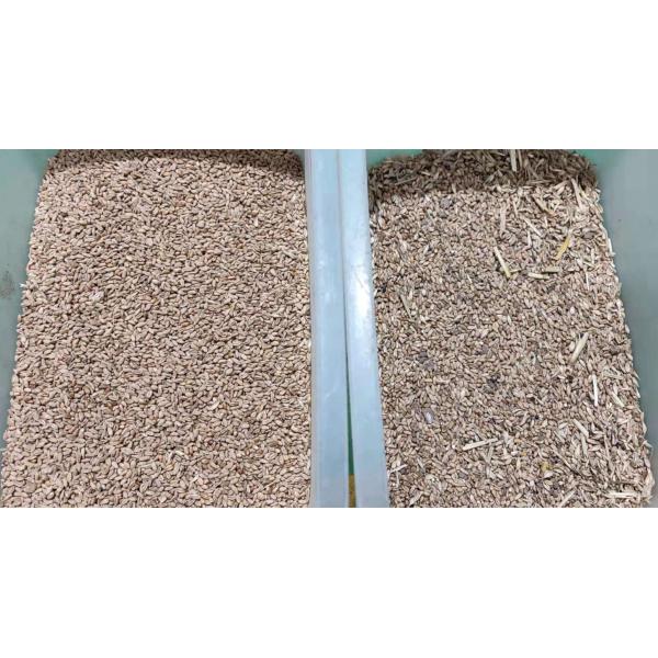 128 Channels Wheat Grain Color Sorter 2 Chutes