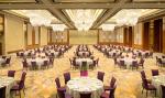 Banquet Chairs For Sale 6cm Seat Thickness Hotel Furniture