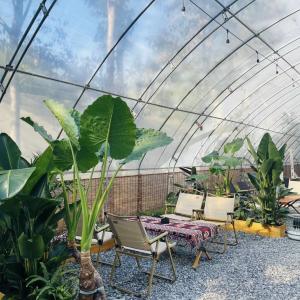 Wholesale US Currency Multi Span Vegetable Film Greenhouse System for Sunlight and Strawberry Flower from china suppliers