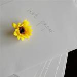Anti-Curl HI-kote C2S Art Paper Trusted by Chemical-Mechanical Pulp Manufacturer