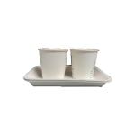 YC Series Paper Pulp Tableware Production Machines Pulp Molded Biodegradable