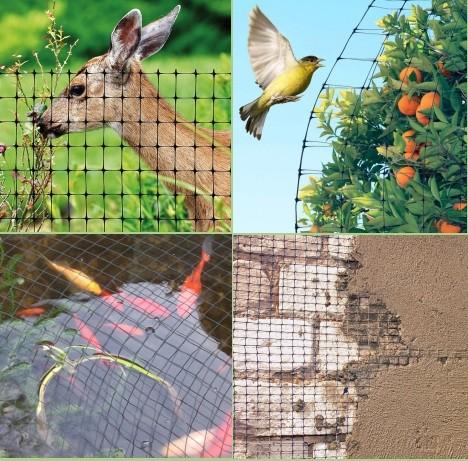 Quality Anti Bird Polyethylene Mesh Netting for sale