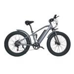 Full Suspension MTB Electric Mountain Bike With 750W Motor And Lithium Battery