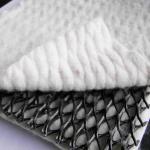 Industrial Design Landscaping Drainage Mat 3D Composite Drainage Geonet Compound