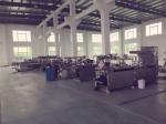 DPP - 250E Cold Aluminum foil alu alu packing machine for Capsules / tablets /