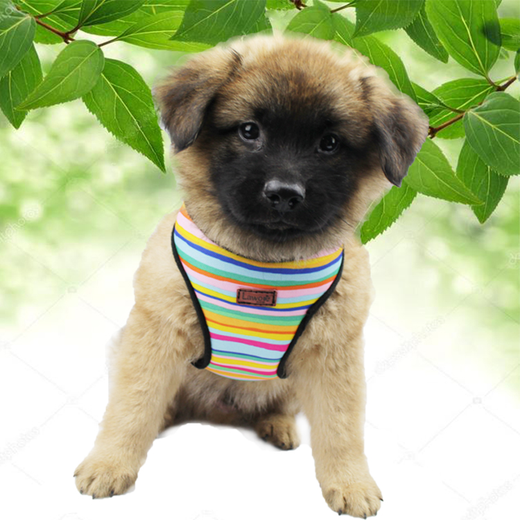 Adjustable Custom Logo Pet Dog Harness Small No Pull , Working Dog Harness Dog Vest Mesh