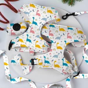 Wholesale Reversible Small Dog Harness And Leash Set Luxury Fashion Dog Walk Set from china suppliers