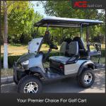 4 Seater Electric Golf Buggy 5kw Multiple Colors Available