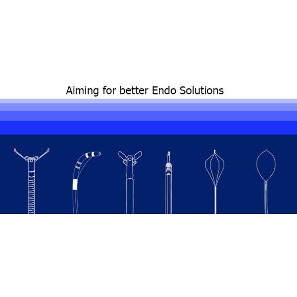 Zebra Hydrophilic Guide Wire Straight Angled Endoscopy Accessory