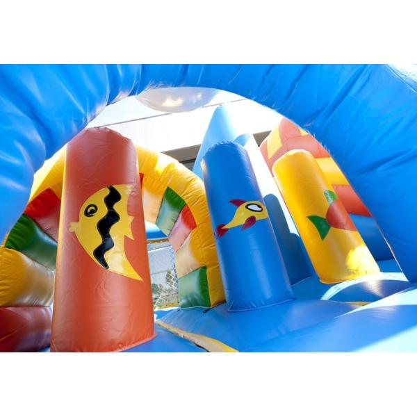 Whale Inflatable Combo