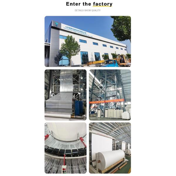 PE PP 20FT Container Dry Bulk Container Liner Bag For Powder Corn Rice Resin