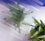 Anti Freeze Polycarbonate Corrugated Sheet Heat Resistant For Green Hous Sun