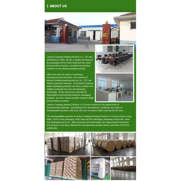 PP Mold Kraft Material Fruit Tray Liner Paper Pulp Packaging for Apples and Avocados Manufacturer