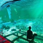 Museum Simulator Cinema 3D Cinema Experience Led Screen Immersive