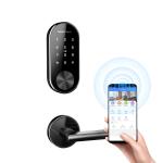 Aluminum Alloy Bluetooth Door Lock Split WiFi Remote Management Apartment
