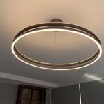 Decorative Indoor Lighting Hanging Light Nordic Double Ring Aluminum Luxury