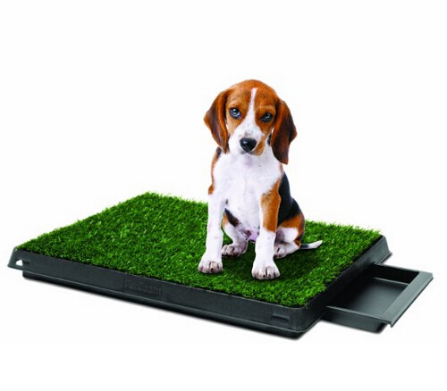 PP PE Personal Care Tools Dog Potty Grass WIth Drawer Custom Color 51 * 63 * 6CM