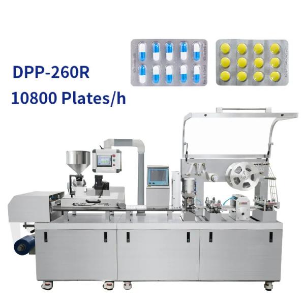 Dpp - 250 Automatic Blister Packing Machine Flat Plate Capsule Pill Sealing