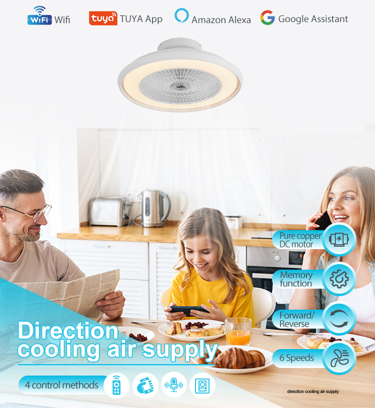 22" Blade Size CB Certificate Smart Remote WiFi Control Round Design LED Ceiling Fan