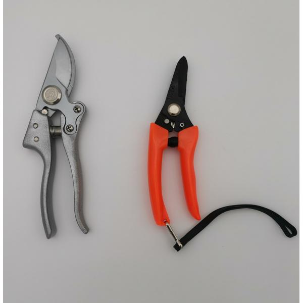 Professional Hand Garden Tools Bypass Pattern Pruning Shear 8 Inches Cheap Price Cutting Scissor
