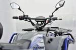 10 Inch Tire Size 110cc or 125cc ATVs Four Wheelers for Adults at Maximum Speed