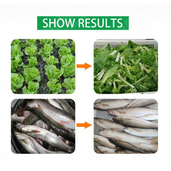 CE ISO Certificated Vegetable And Fruit Washing Machine 150KG