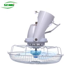 Wholesale Wall Switch Control Orbit DC 12V Ceiling Fan , 12 Inch 360 Degree Oscillating Fan from china suppliers