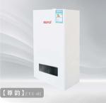 Low Nitrogen Wall Mounted Gas Boiler For Domestic Restaurant