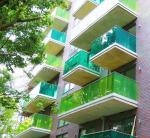 Glass type Lamianted Glass for Kitchen Staircase Decorative Qualified Tempered