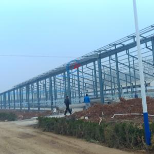 Wholesale Prefab Steel Structure Shed , Natural Ventilation Metal Shed Buildings from china suppliers
