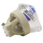 Home UHP280W 0.8 E19.4 IC SONY Projector Bulbs LMP-C280