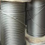 Steel Core 8x19S FC 8x19S IWRC Stainless Steel Wire Rope for Auger Drill