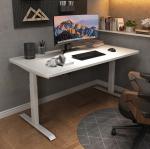 Adjustable Electric Height Lifting Desk for Home Office Study 2 Stage Dual Motor