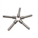 Auto CAD Cemented Mirror Carbide Punches Dies