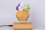 white pot magnetic levitation air bonsai, floating display plant pot tree