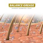 Anti-Hair Loss Ginger Shampoo 500ml Private Label for Oil Control and Healthy