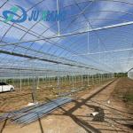 20GP 40GP 40HC Modern Agriculture Sunlight Greenhouse For Vegetables Planting
