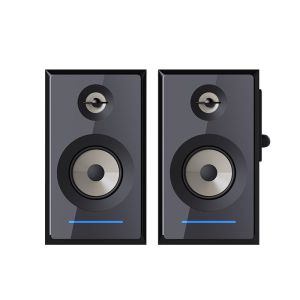 RGB Lighting 50Hz Compact Wireless Bookshelf Speakers With Subwoofer