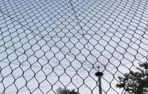 Wholesale flexible x-tend cable 304 316 stainless steel rope mesh from china suppliers