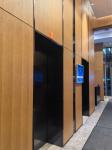 0.5mm Microperforated Acoustic Wood Wall Panels Decorative Timber Board Building