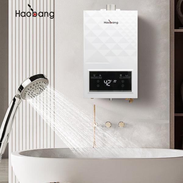 Affordable And Durable Forced Exhaust Gas Water Heater 10L Capacity 60MM Flue