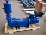 2BV-5110 2BV-5110 Water Ring Vacuum Pump Vertical Type CNC
