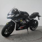 3000W Racing Electric Motorcycle with EEC Certification and Long-Lasting Battery