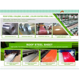 Liaocheng Best Resources Co., Ltd