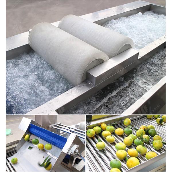 Customization Ozone Sterilization Fruit And Vegetable Processing Line Dry Detoxification