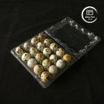 Affordable PET Clear Plastic Egg Trays with Lid 20 24 30 Cells for Disposable